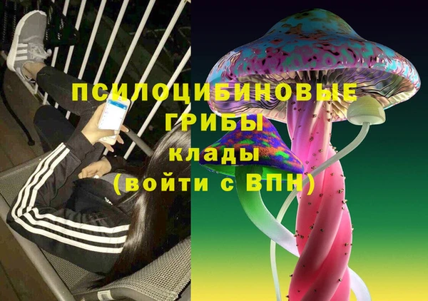 ешки Белоозёрский